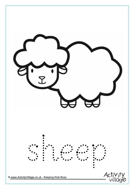 Sheep word tracing