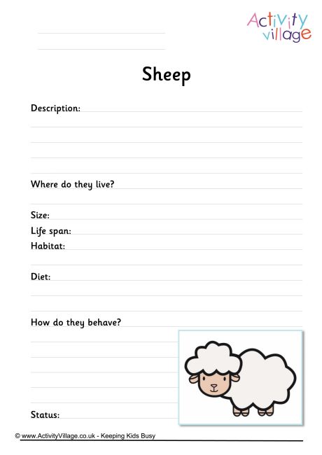 Sheep worksheet