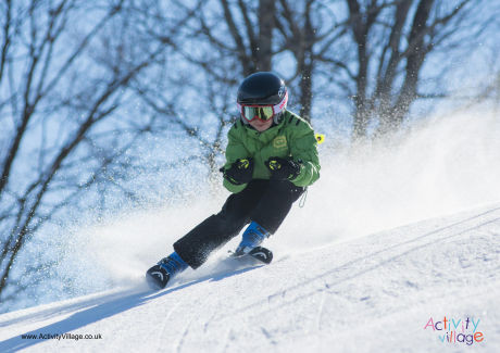 Skiing Poster