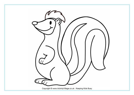  Skunk Colouring Page