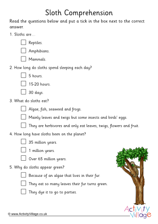 Sloth Comprehension Multiple Choice
