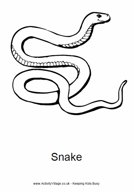 Snake Colouring Pages