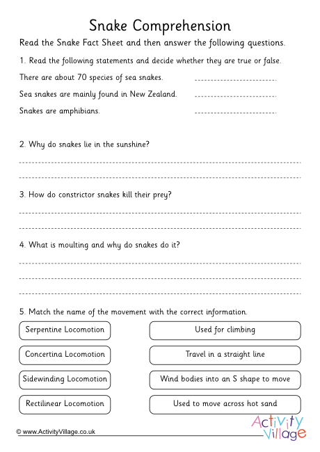 Snake Comprehension Questions Snake Comprehension Questions