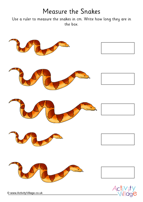 Snake Measurements Worksheet