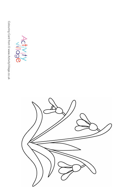 Snowdrops Colouring Card