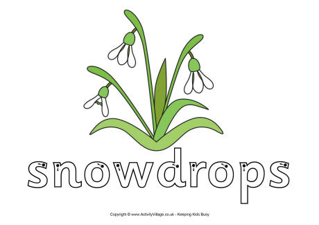 Snowdrops finger tracing