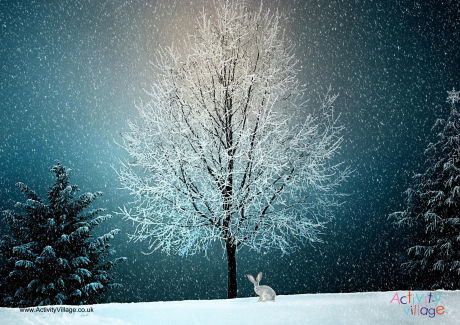 Snowing Poster