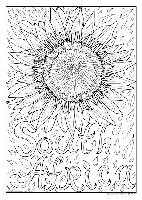 South Africa national flower colouring page