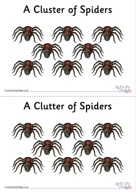 Spider Collective Noun Poster Spider Collective Noun Poster