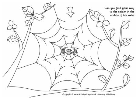 Spider web maze