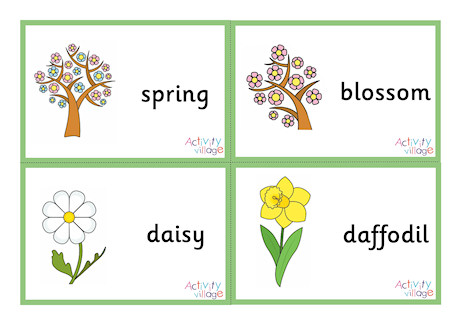 Spring Flashcards - Small