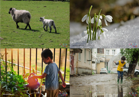 Spring Scene Posters Spring Scene Posters