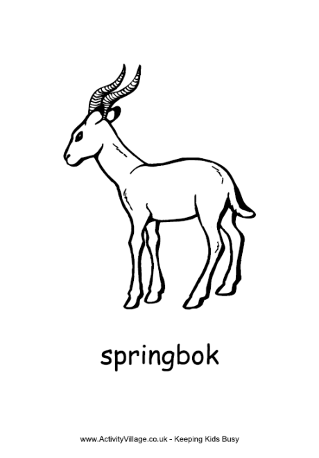 Springbok colouring page