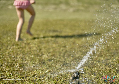 Sprinkler in the garden poster