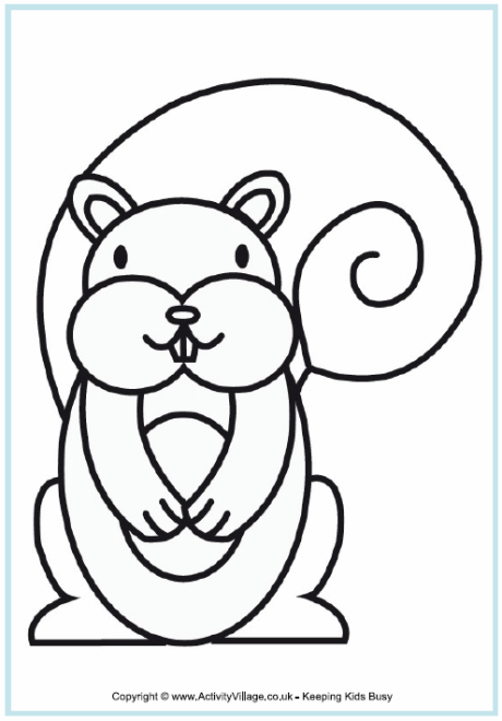Squirrel colouring page