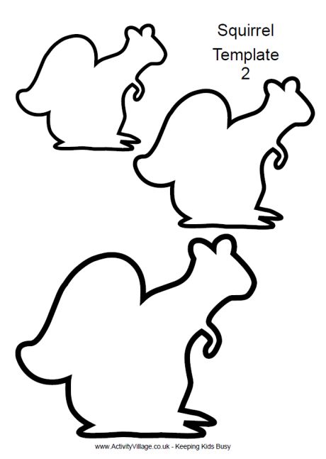 Squirrel template 2