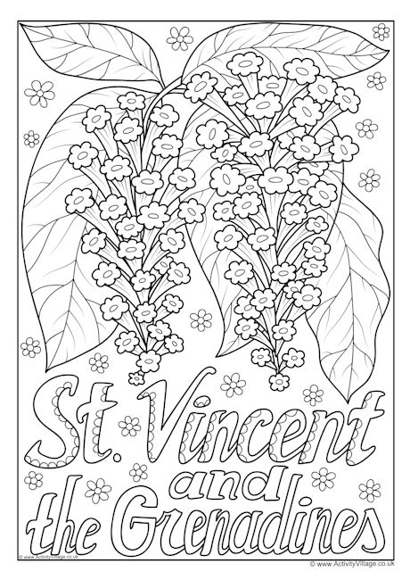 St Vincent and the Grenadines national flower colouring page St Vincent and the Grenadines national flower colouring page