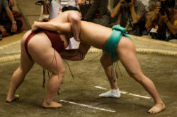 Sumo wrestlers