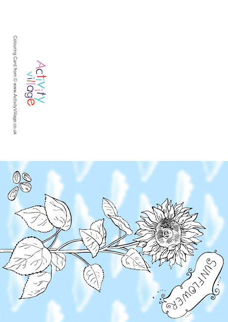 Sunflower Colour Pop Colouring Card