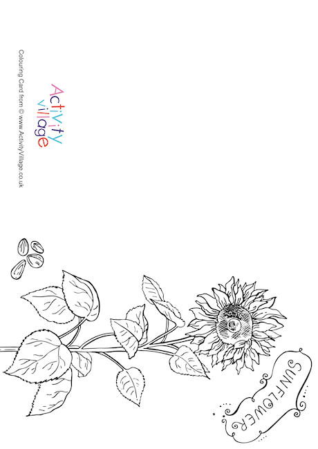 Sunflower Colouring Card