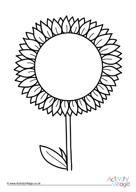 Sunflower colouring page 4