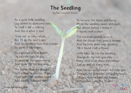 The Seedling slideshow