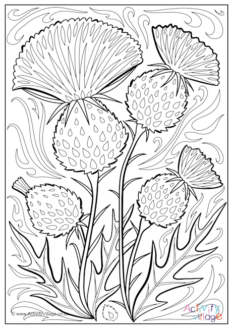 Thistle colouring page 2