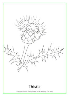 Download Thistle Worksheets