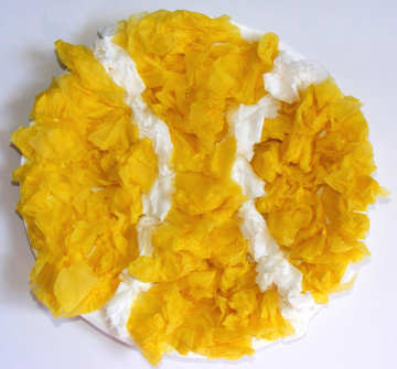 Tissue paper tennis ball