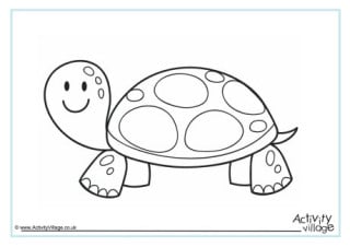 Tortoise Colouring Pages