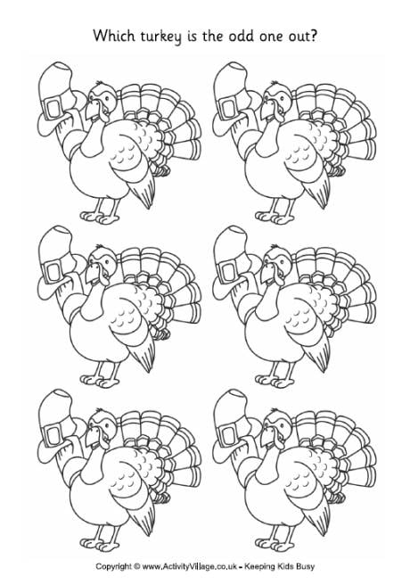 Turkey - odd one out