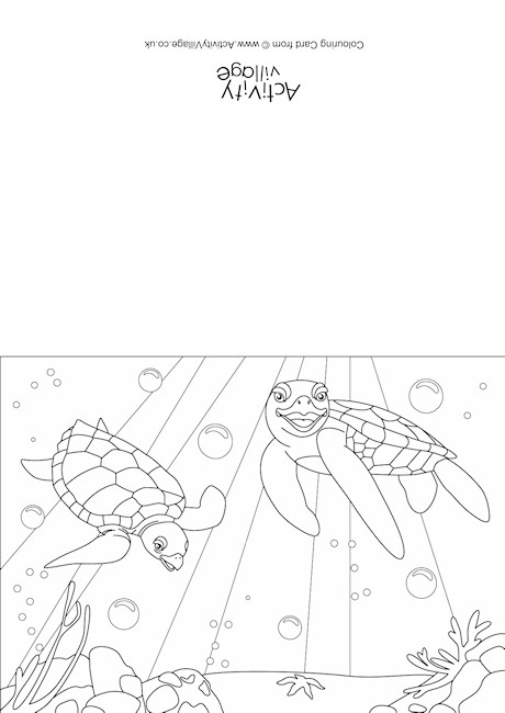 Turtles Scene Colouring Card