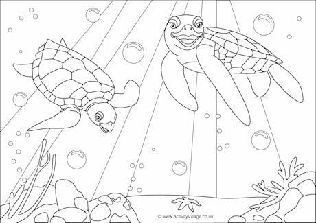 Turtles Scene Colouring Page