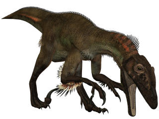 Utahraptor