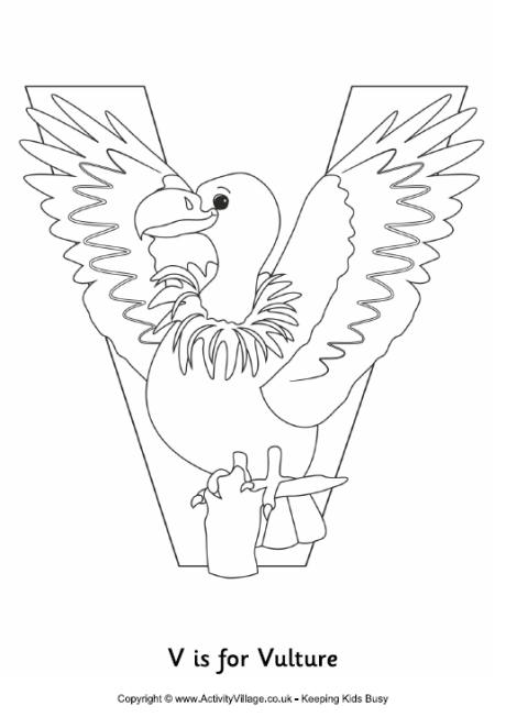 V is for vulture colouring page