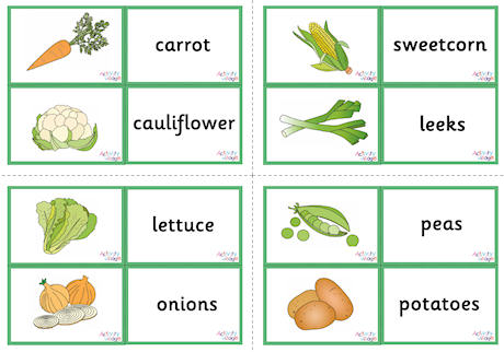 Vegetable Vocabulary Matching Cards Vegetable Vocabulary Matching Cards