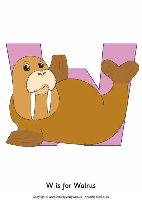 W is for walrus poster