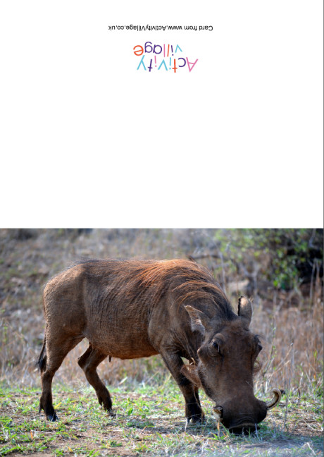 Warthog card