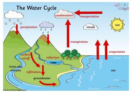 Water Cycle Black and white. Vector schematic representation of the water  cycle in nature. Illustration of diagram water cycle. Cycle water in nature  environment. Stock Vector | Adobe Stock