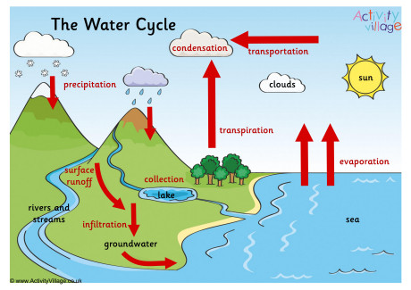 Water Cycle Drawing | Simple water Cycle drawing for everyone | Easy Water  Cycle Diagram - YouTube