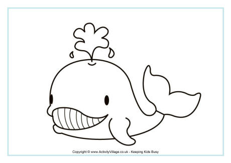 Whale colouring page