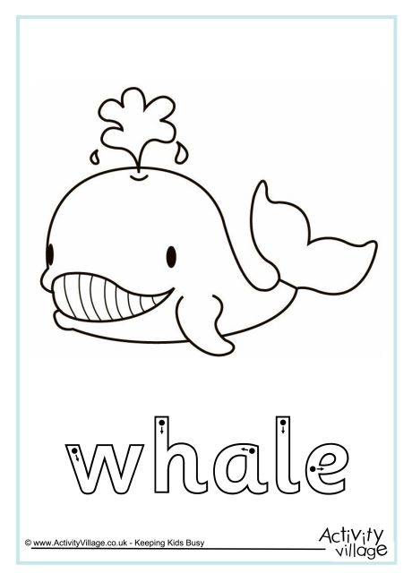 Whale finger tracing