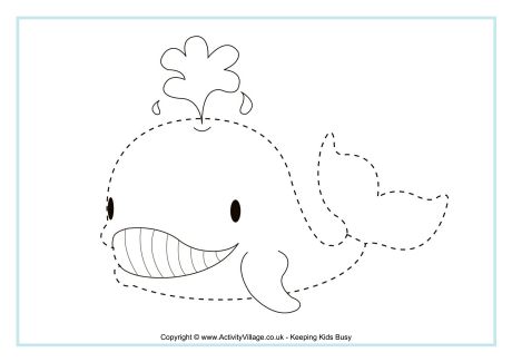 Whale tracing page