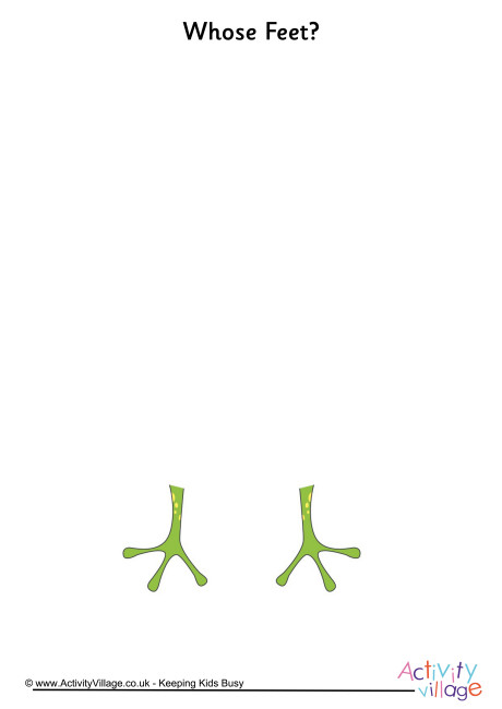 Whose feet frog