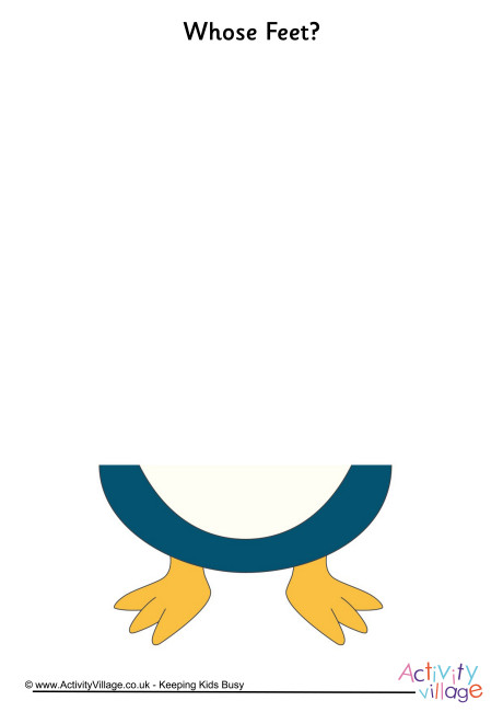 Whose Feet penguin