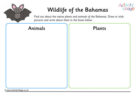 Wildlife of Bahamas Worksheet