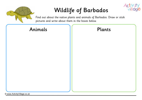 Wildlife Of Barbados Worksheet