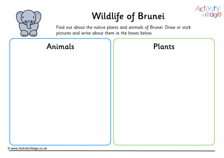 Wildlife Of Brunei Worksheet Wildlife Of Brunei Worksheet