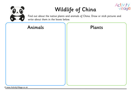 Wildlife Of China Worksheet