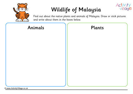 Wildlife Of Malaysia Worksheet Wildlife Of Malaysia Worksheet